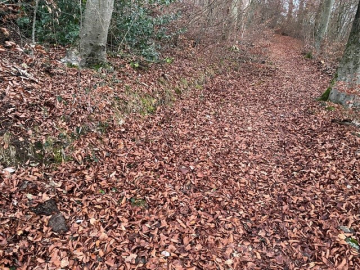 Maschinenweg vor dem Eingriff